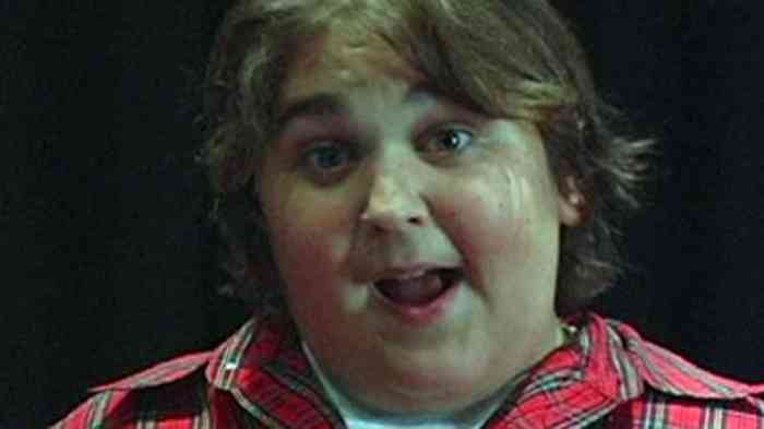 Andy Milonakis Net Worth, Wife, Height, Age, Career, Bio, and More