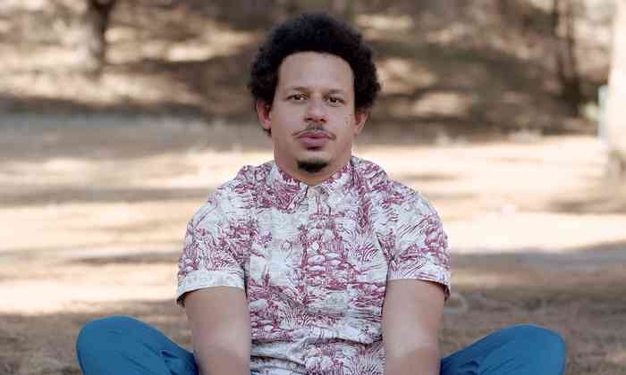 Eric Andre Net Worth, Height, Age, Family, Career, Bio, and More