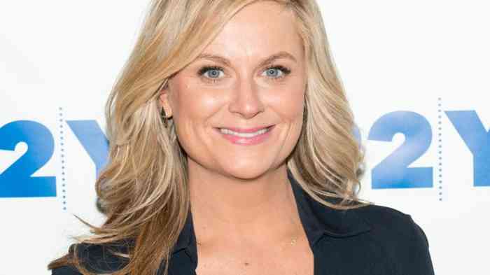 Amy Poehler Age, Net Worth, Height, Family, Bio, and More