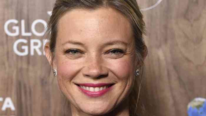 Amy Smart Net Worth, Height, Age, Affair, Bio, and More