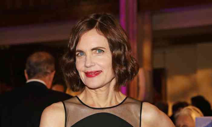 Elizabeth McGovern Net Worth, Age, Height, Affair, Carrer, and More