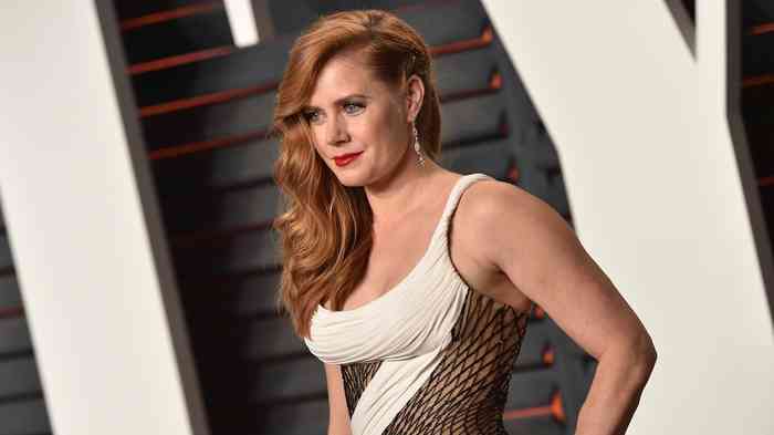 Amy Adams Net Worth, Height, Age, Affair, Family, and More