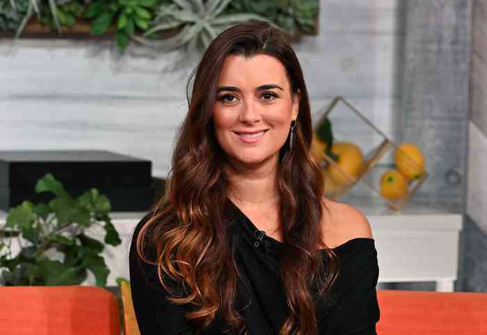 Cote de Pablo Height, Age, Net Worth, Affair, Career, and More