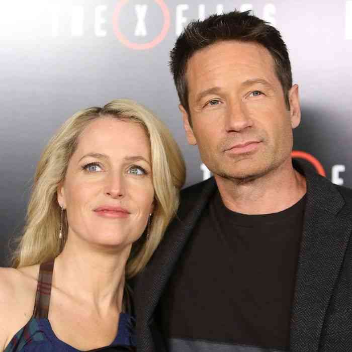 David Duchovny Net Worth Height Age Affair Career And More