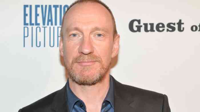 David Thewlis Affair, Height, Net Worth, Age, Career, and More