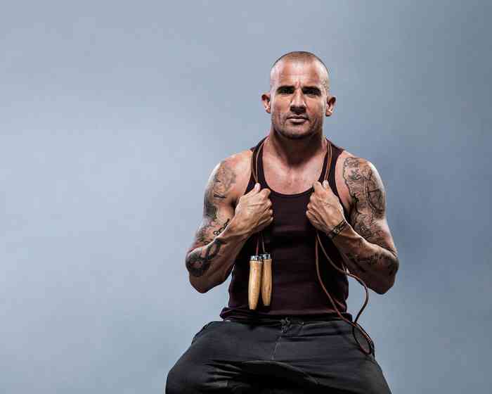 Dominic Purcell Height, Age, Net Worth, Affair, Career, and More