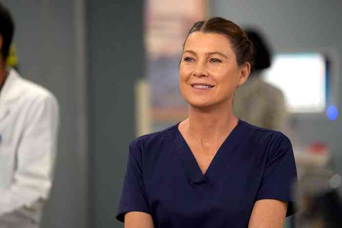 Ellen Pompeo Height, Age, Net Worth, Affair, Career, and More