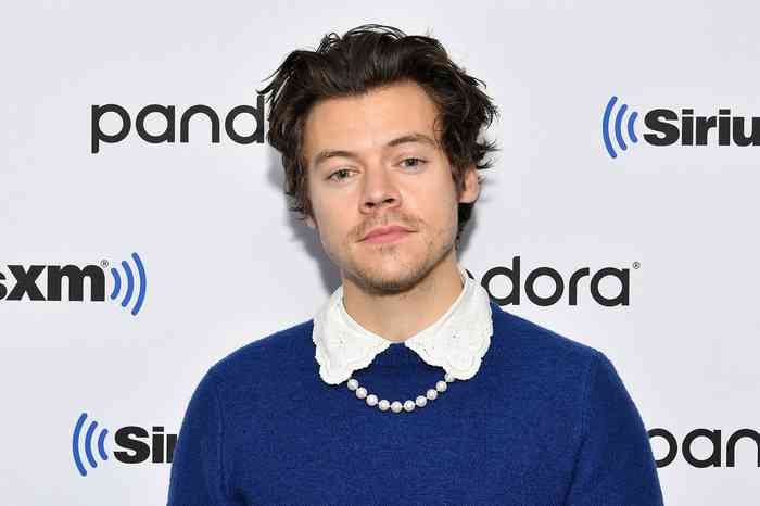 Harry Styles Height, Net Worth, Age, Affair, Bio, and More