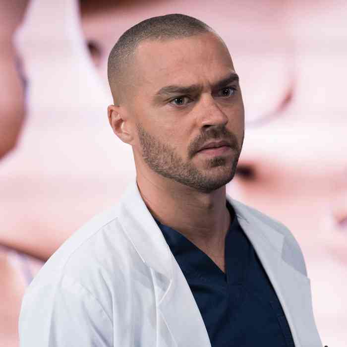 Jesse Williams Age, Net Worth, Height, Affair, Career, and More