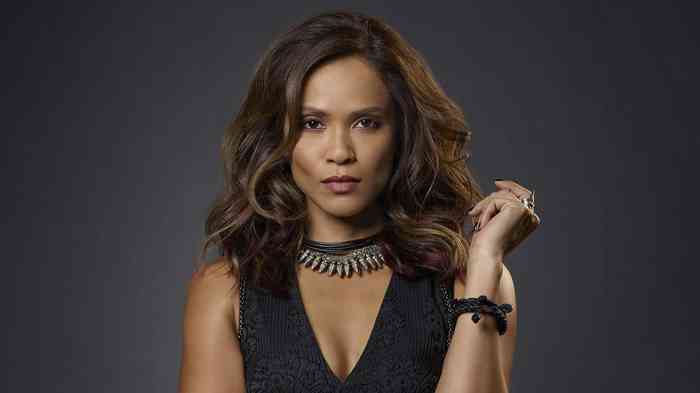 Lesley-Ann Brandt Net Worth, Height, Age, Affair, Bio, And More