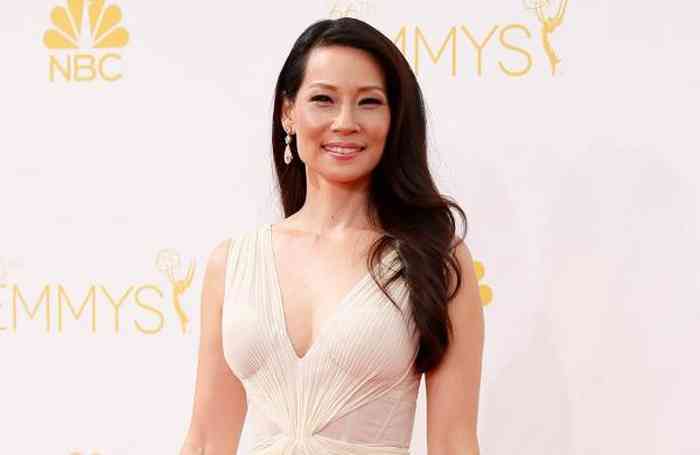 Lucy Liu Net Worth, Height, Age, Affair, Bio, And More