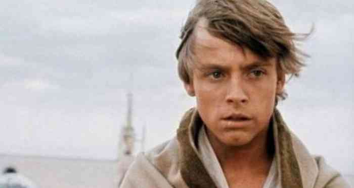 Mark Hamill Net Worth, Height, Age, Affair, Family, and More