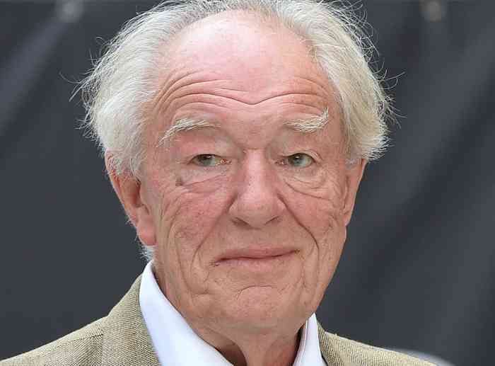 Michael Gambon Net Worth, Height, Age, Affair, Career, and More