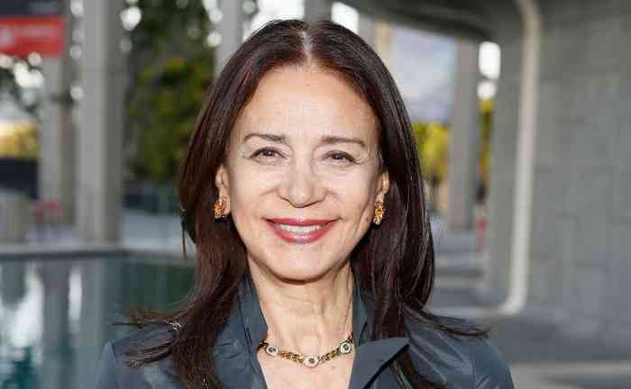 Rosanna DeSoto Net Worth, Age, Height, Family, Wiki Bio, And More