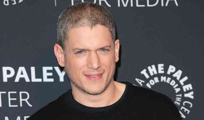Wentworth Miller Affair, Height, Net Worth, Age, Career, and More