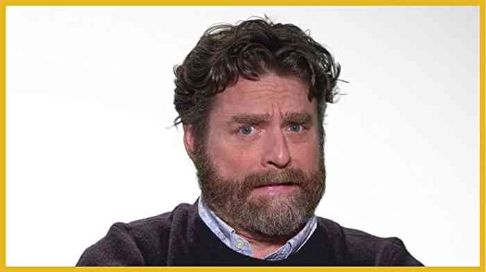 Zach Galifianakis Affair, Net Worth, Age, Height, Career, and More