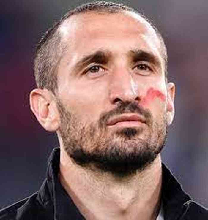 Giorgio Chiellini Photo