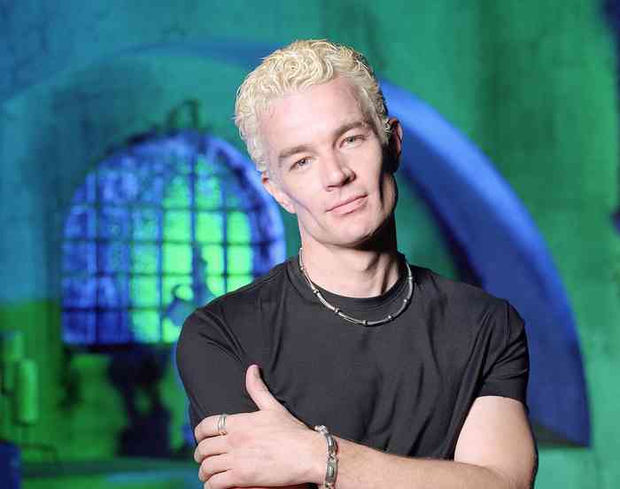 James Marsters Age, Net Worth, Height, Affair, Career, and More