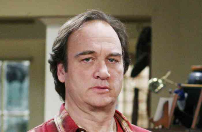 Jim Belushi Affair, Height, Net Worth, Age, Career, and More