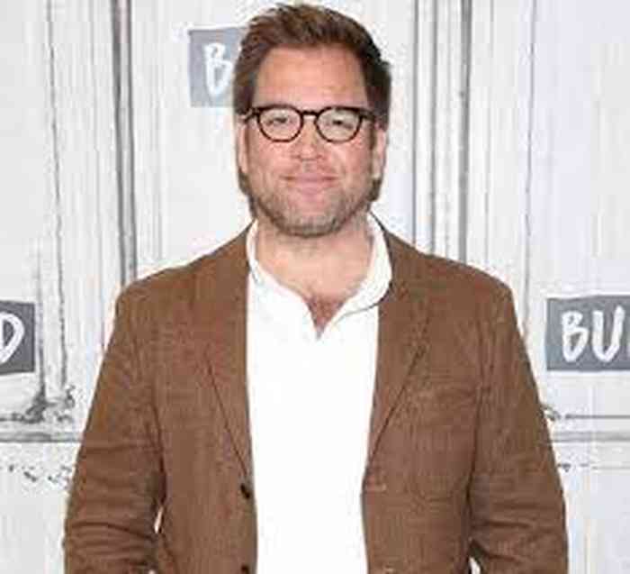 Michael Weatherly Images