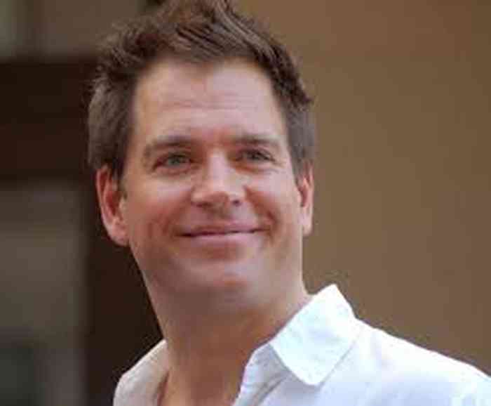 Michael Weatherly Age, Net Worth, Height, Affair, Career, and More