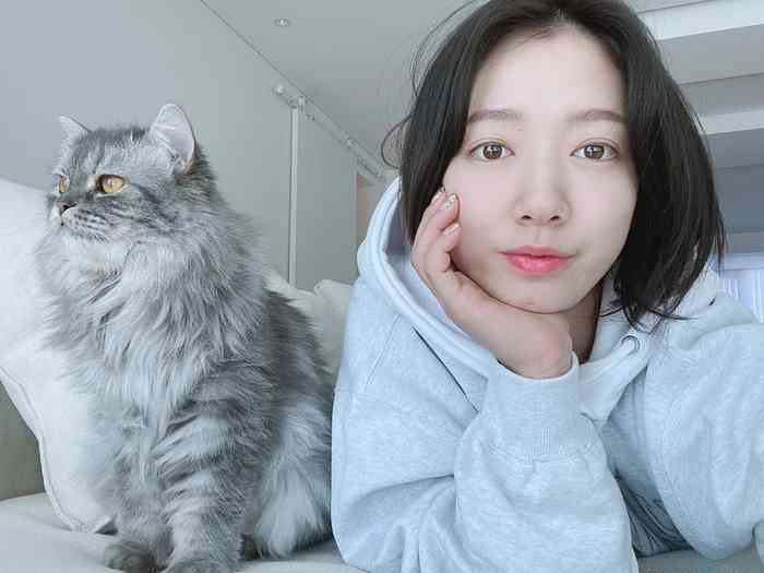 Park Shin-hye Net Worth, Height, Age, Affair, Career, and More
