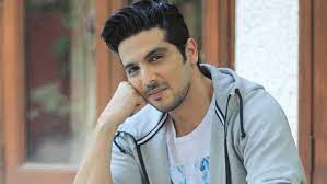 Zayed Abbas Khan Affair, Height, Net Worth, Age, Career, and More