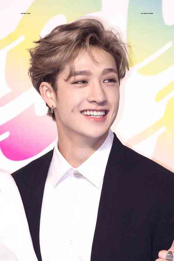 Bang Chan Affair, Height, Net Worth, Age, Career, and More