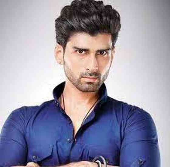 Akshay Dogra Height, Age, Net Worth, Affair, and More