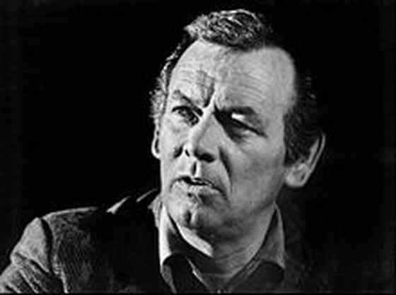 David Janssen Height, Age, Net Worth, Affair, Career, and More