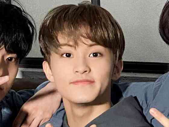 Mark Lee Affair, Height, Net Worth, Age, Career, and More