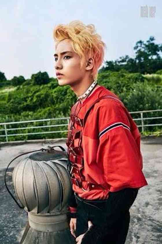 WINWIN Age, Net Worth, Height, Affair, Career, and More