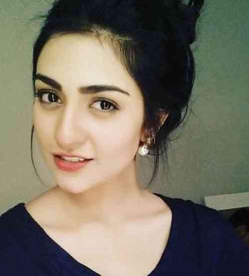 Sarah Khan Net Worth, Height, Age, Affair, Career, and More