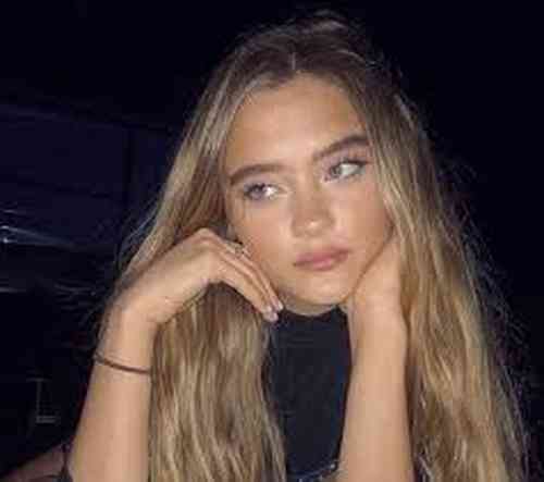 Lizzy Greene Affair, Height, Net Worth, Age, Career, and More