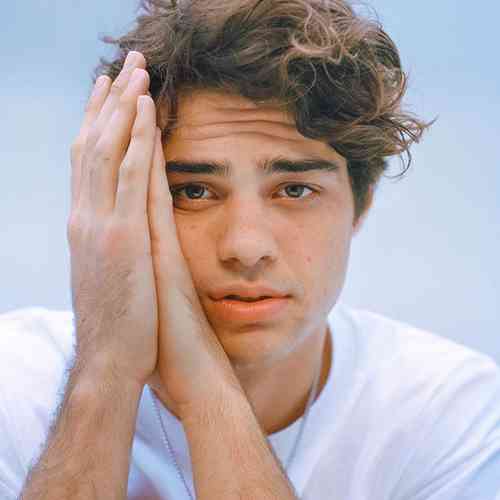 Noah Centineo Affair, Height, Net Worth, Age, Career, and More