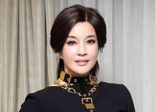 Liu Xiaoqing Age, Net Worth, Height, Affair, Career, and More