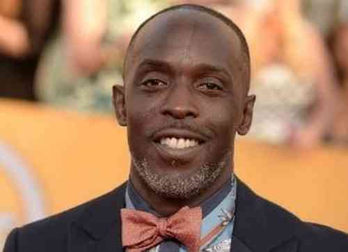 Michael K. Williams Net Worth, Height, Age, Affair, Career, and More