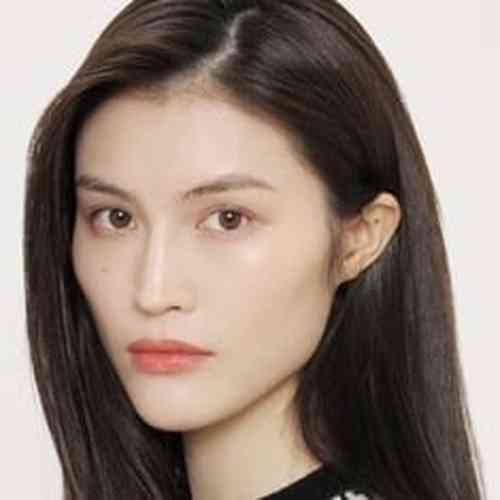 Sui He Height, Age, Net Worth, Affair, Career, and More