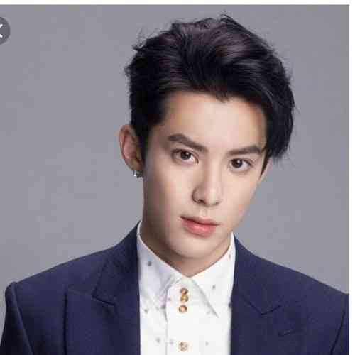 Dylan Wang Height, Age, Net Worth, Affair, Career, and More