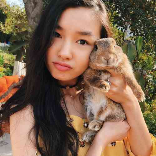 Estelle Chen Height, Age, Net Worth, Affair, Career, and More