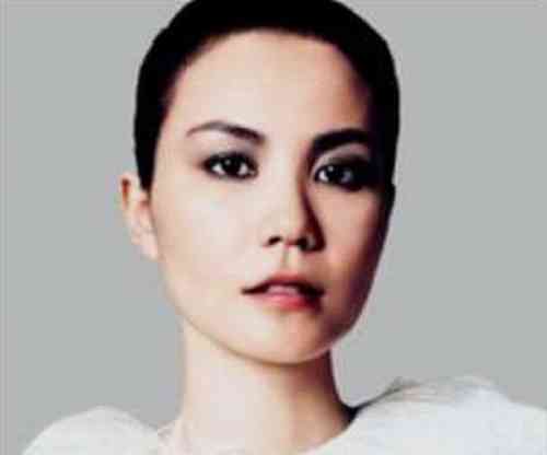 Faye Wong Net Worth, Height, Age, Affair, Career, and More
